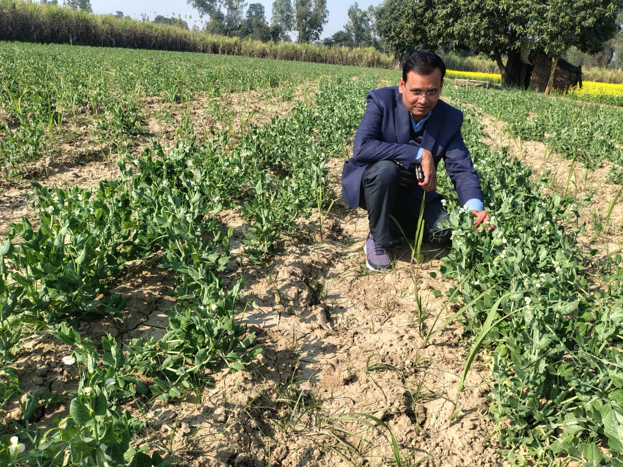 WhatsApp Image 2025-12-12 at 7.08.38 PM.jpeg